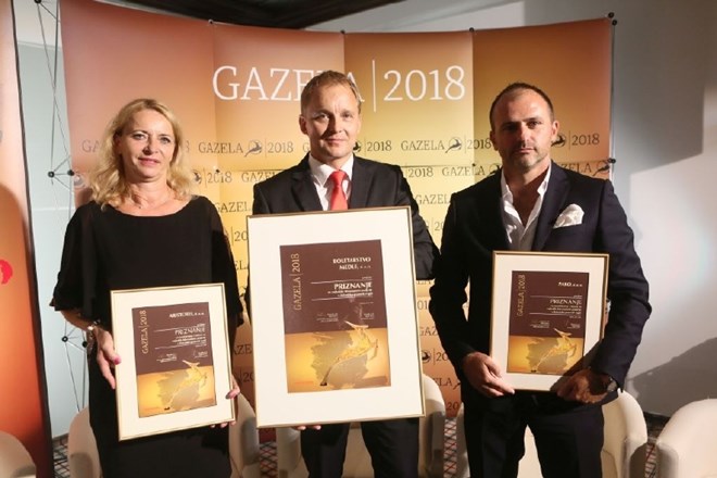 Trije nominiranci za dolenjsko-posavsko gazelo 2018 (od leve): Darja Čakar (Aristotel), Robert Medle (Roletarstvo Medle) in...