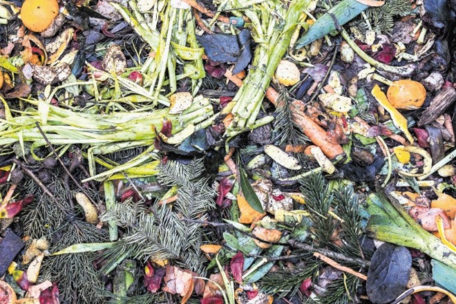 Kompost je organska snov, ki so jo mikroorganizmi predelali v gnojilo.