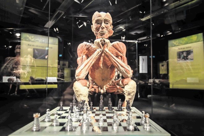 Razstava Body Worlds, pripravil jo je Inštitut za plastinacijo iz Heidelberga, omogoča vpogled v človeško telo.