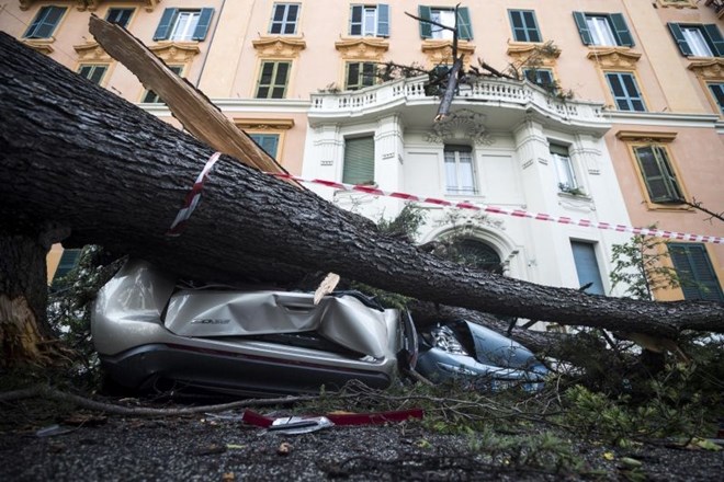 Močan veter je podiral drevesa v Rimu.