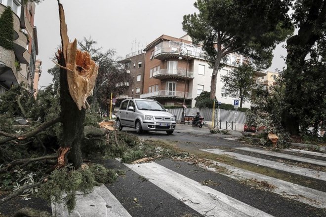 Močan veter je podiral drevesa v Rimu.