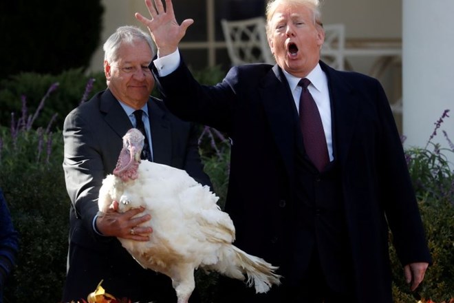 #foto Trump pred zahvalnim dnevom pomilostil dva purana