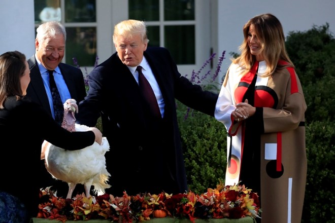 Purana Grah in Korenček, ki ju je v torek slovesno pomilostil predsednik ZDA Donald Trump, bosta živela na farmi v Virginiji....