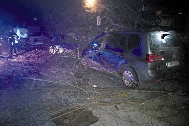 Gasilci so v četrtek zgodaj zjutraj priskočili na pomoč v nesreči, v kateri je drevo padlo na avtomobila.