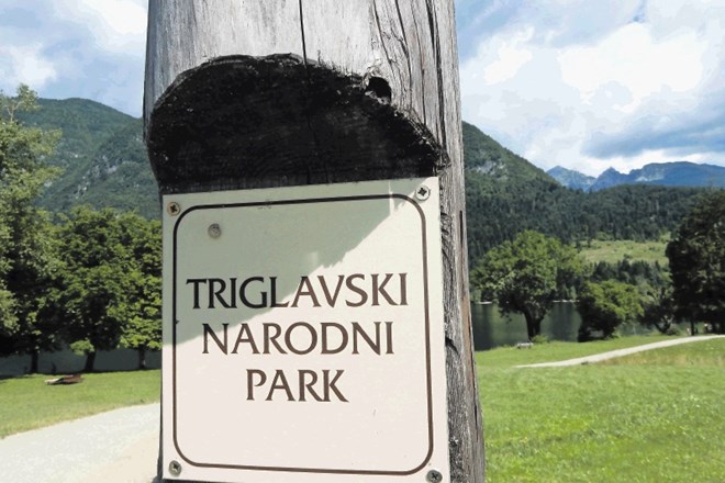 Avtomatsko zbiranje podatkov o obiskovalcih na najbolj priljubljenih delih Triglavskega narodnega parka bo poskrbelo tudi za...
