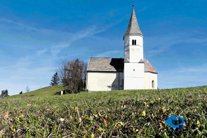 Za ohranitev encijana  na najbolj znanem rastišču,  okoli cerkve sv. Lovrenca pod Lisco,  so zaslužni predvsem planinci.