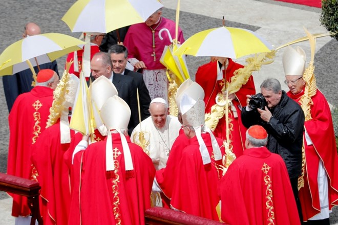 #foto Papež na cvetno nedeljo za ponižnost Cerkve 