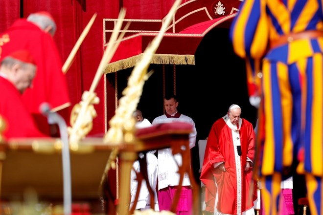 #foto Papež na cvetno nedeljo za ponižnost Cerkve 
