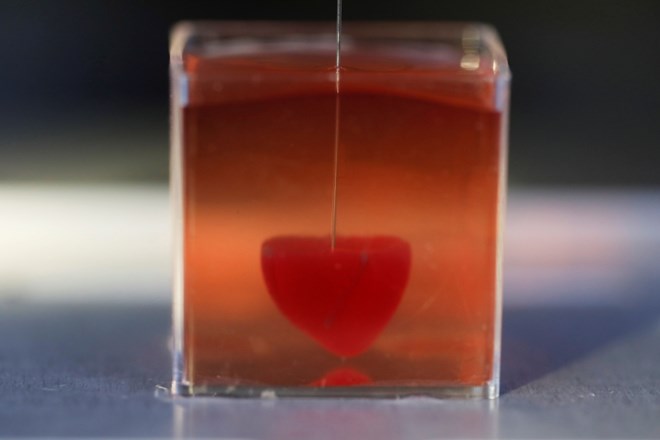 #foto Izraelski znanstveniki natisnili srce iz človeškega tkiva