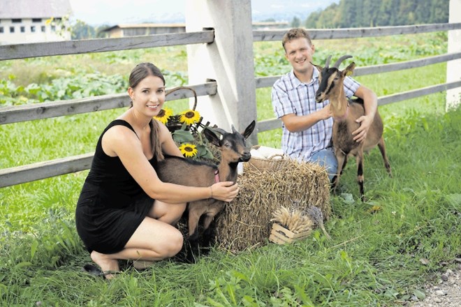 Laura in Domen Virant skrbita tudi za koze, kokoši in kobili.