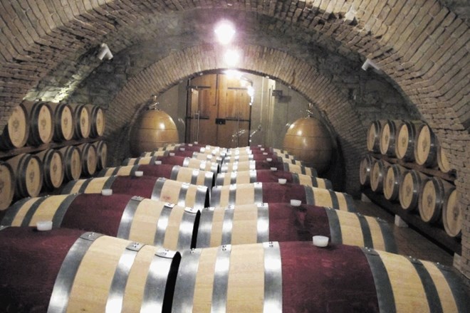 Prenovljena vinska klet de Baguer na gradu Dobrovo