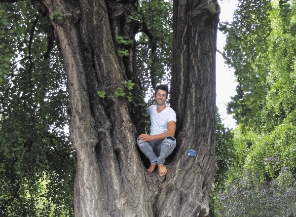 »Upam, da bomo tudi na Bledu kdaj imeli drevesa takih dimenzij,« pravi dr. Jan Bizjak, ki skrbi za urejanje blejskih pakov.