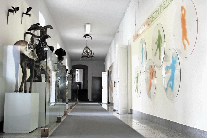Stalna razstava Šport na Loškem je na ogled v prenovljenih prostorih v prvem nadstropju Loškega muzeja. Vanjo se pride skozi...