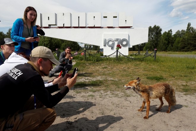#foto Po HBO uspešnici  v Černobilu cveti turizem