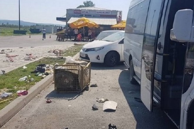 Tragična smrt 14-letnic na Hrvaškem: voznik na počivališču divjal 90 kilometrov na uro