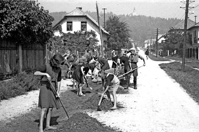 Čiščenje plevela po ulicah v Rožni dolini na udarniško nedeljo, 10. septembar 1945