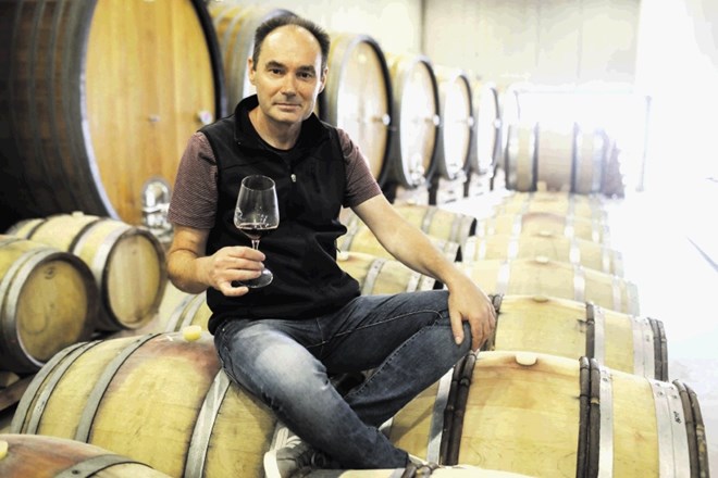 Enolog Sašo Topolšek pove, da v kleti, ki so jo zgradili v hrib, kletarijo do milijon litrov pretežno belih vin.