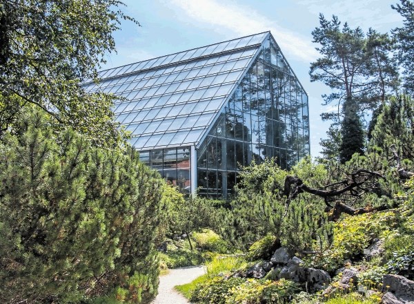Ljubljanski botanični vrt je nastal prav v času delovanja slovitega naravoslovca Alexandra von Humboldta.
