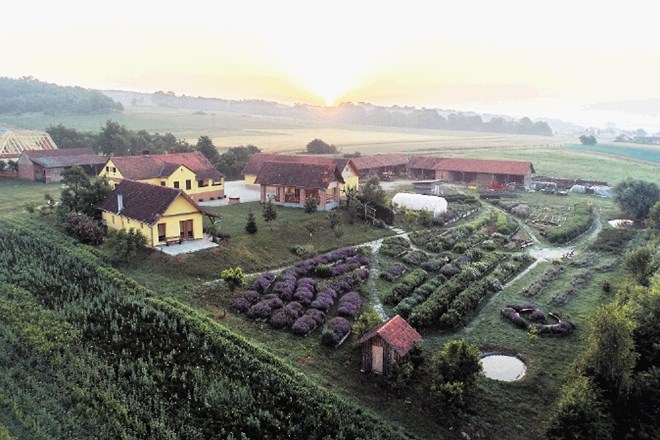 Ekosocialna kmetija Korenika se nahaja v samem osrčju Krajinskega parka Goričko.