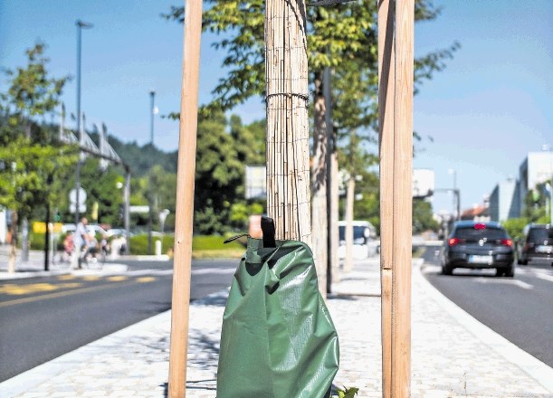Tudi v Ljubljani so začeli uporabljati zalivalne vreče.
