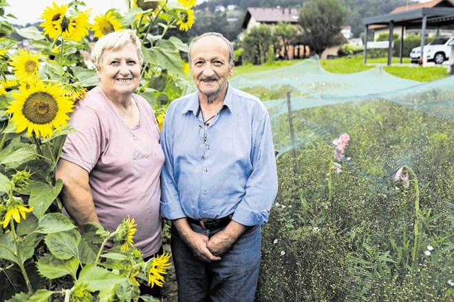Ivanka in Janez Skubic imata lan posejan tudi na manjšem vrtu za hišo.