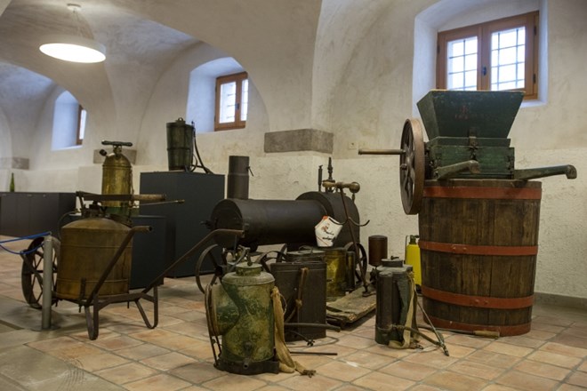 V vinarskem muzeju, ki je umeščen v Lanthierijev dvorec, so razstavljeni predmeti, s katerimi so vinarji  nekoč  obdelovali...