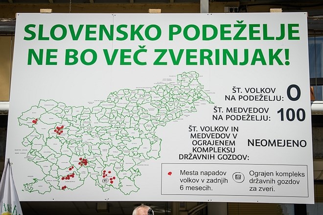 #foto #video Volkovi so Slovenijo razdelili na podeželje in Ljubljano