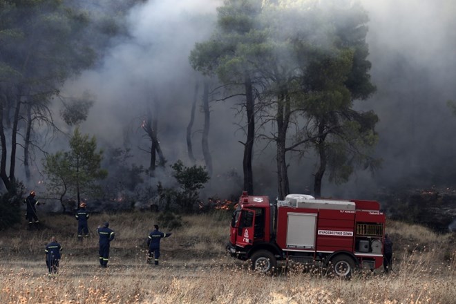#foto Požar na grškemu otoku Evia povzročil ekološko katastrofo