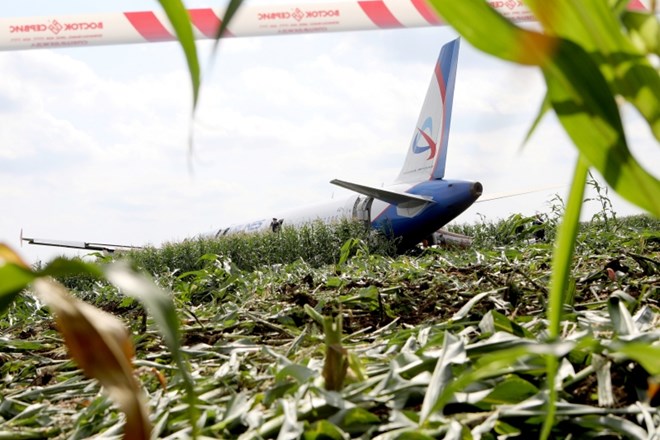  #foto #video Čudežni pristanek letala na koruznem polju