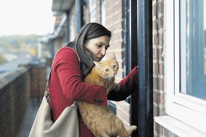 Film Mačka v zidu Mine Mileve in Vesele Kazakove  obravnava življenje bolgarskih priseljencev v Veliki Britaniji.
