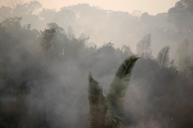 »Pljuča sveta« v plamenih – vse, kar morate vedeti o požarih v Amazoniji