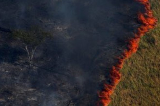 »Pljuča sveta« v plamenih – vse, kar morate vedeti o požarih v Amazoniji