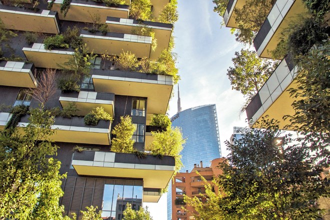 Rastline v mestih zmanjšujejo pregrevanje prostorov in okolice, pa če rastejo na strehi, na balkonu ali sredi ulice. iStock