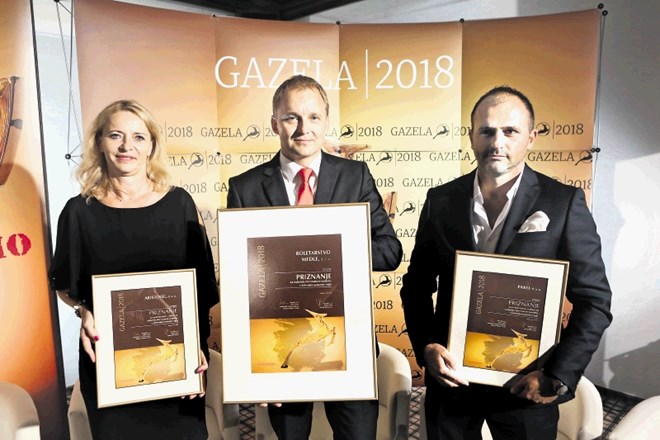 Gazela dolenjsko-posavske regije je lani postalo podjetje Roletarstvo Medle (direktor Robert Medle na sredi), nominirani pa...