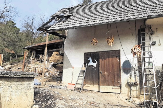 Družini Grivec iz Poljan pri Mirni Peči so 5. oktobra  pogoreli hleva in kozolec. Na Rdečem križu si prizadevajo čim prej...