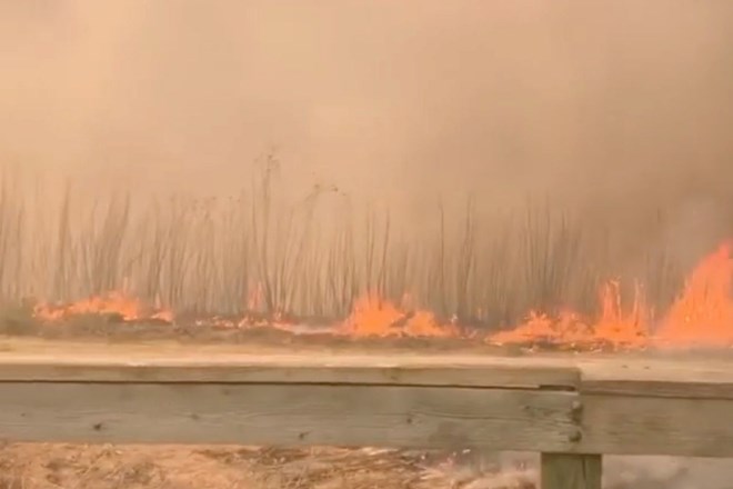 #foto Zaradi požarov v Kaliforniji razglasili izredne razmere