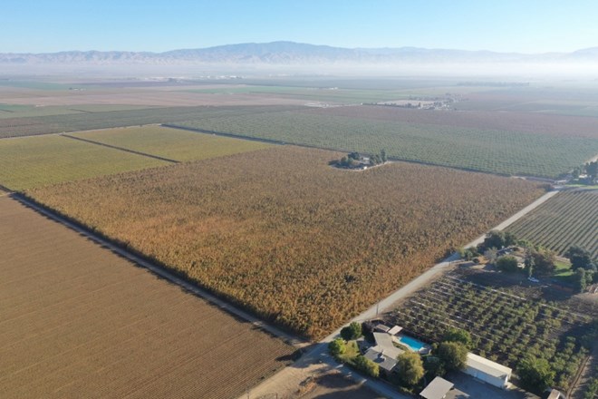 V Kaliforniji zasegli deset milijonov sadik konoplje