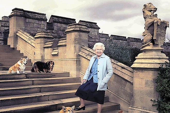 Kraljevi fotografi so jo v družbi vseh štirih psov posneli na stopnicah terase na enem od vrtov Windsorske palače.