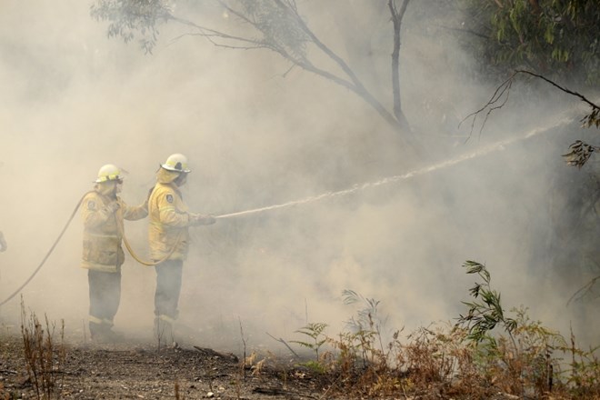 Na vzhodu Avstralije še naprej divjajo številni požari