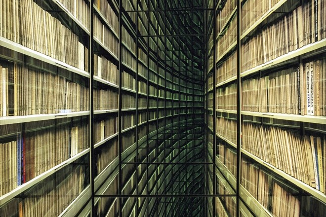 Knjižnica (neskončni hodnik knjig) – The Library (the never-ending corridor of books), 2006