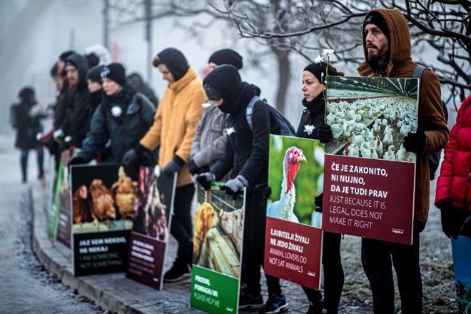 Pred ljubljansko klavnico perutnine protest proti ubijanju živali