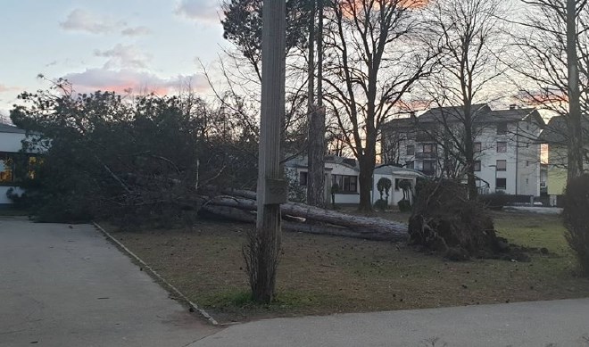 Močan veter je podrl drevo, ki je padlo na OŠ Stražišče-