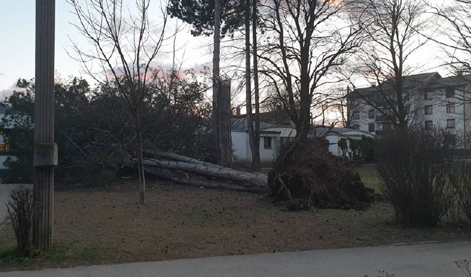 Močan veter je podrl drevo, ki je padlo na OŠ Stražišče-