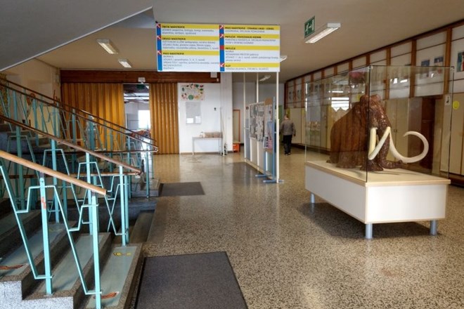 Osnovna šola Frana Albrehta v Kamniku bo 14 dni zaprta.
