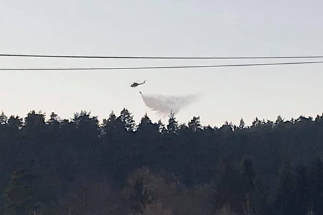 #foto Gasilci omejili obsežen požar na Šentviškem hribu; na delu požigalec