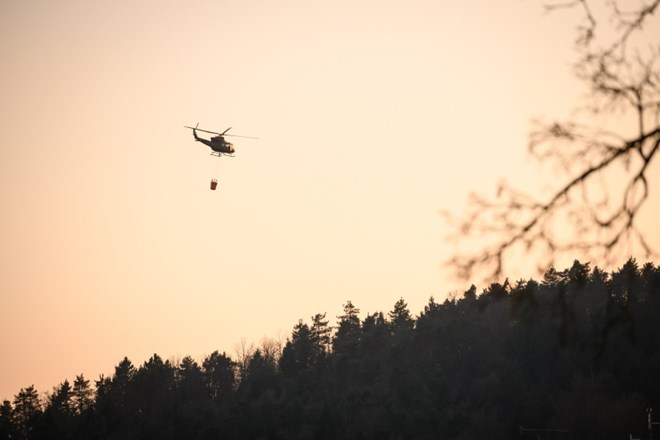 #foto Gasilci omejili obsežen požar na Šentviškem hribu; na delu požigalec