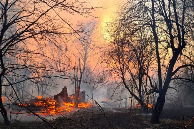 #foto #video Gasilci nadaljujejo gašenje požara v Černobilu ob povišanem sevanju