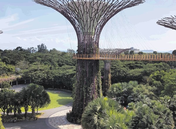 V prelepem parku Gardens by the Bay, tik ob morju oziroma ob Singapurski ožini, so največja atrakcija kovinska drevesa, ki...