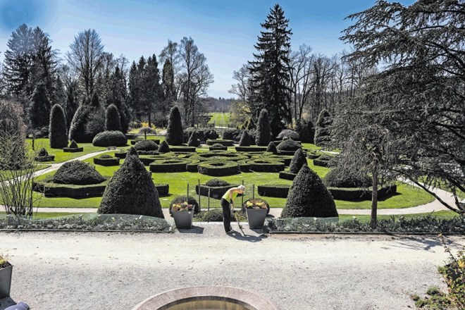 Francoski vrt z zahtevnimi sortami pušpana je srce Arboretuma.