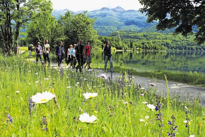 Turizem Bohinj letos  večino 17-dnevnega Mednarodnega festivala alpskega cvetja pripravlja v digitalni obliki.